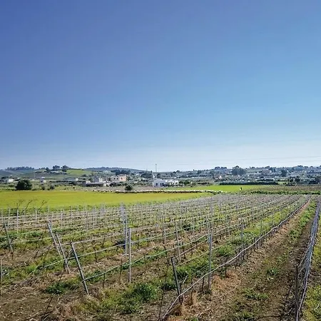 Teresa Tra Il Mare E La Campagna בית נופש