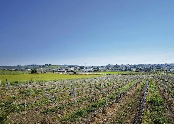Teresa Tra Il Mare E La Campagna בית נופש